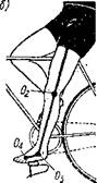 Анатомо-антропометрические аспекты посадки велогонщика