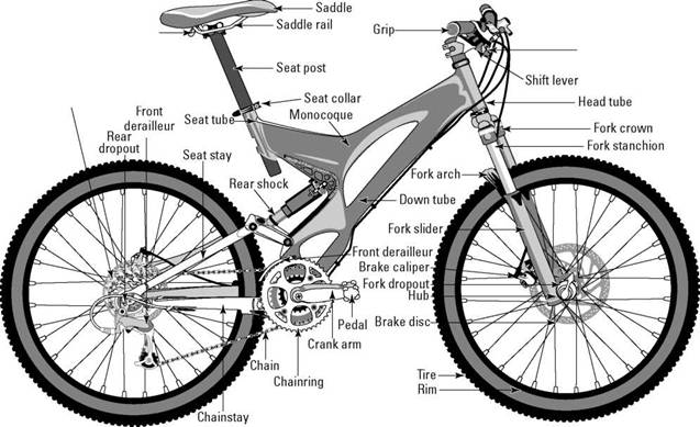 Gross Anatomy: Identifying the Parts of a Bike